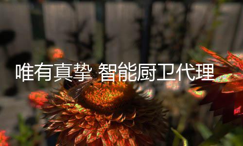 销售成交就水到渠成了
