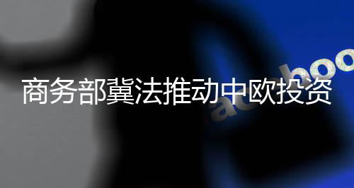 欧投希望法方发挥积极作用