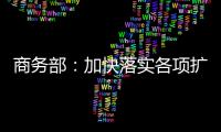 商务部
：加快落实各项扩消费政策措施