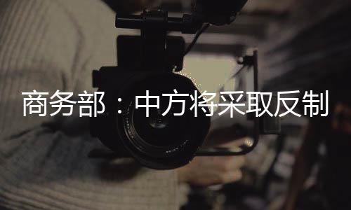 部中既损害美国自身利益