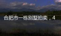 合肥市一栋别墅拍卖，4人报名竞拍却以起拍价282万就成交了