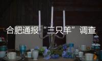 合肥通报“三只羊”调查处置情况