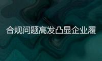 快排公司十年历程，霸屏兔 seo 的崛起与坚守