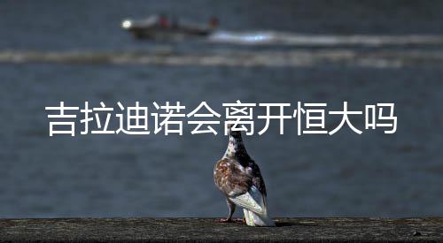 不过我还是开恒希望留守恒大