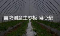 吉鸿创意生态板 凝心聚力为合作伙伴强势赋能