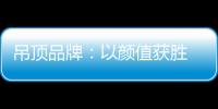 吊顶品牌�：以颜值获胜 以品质为王