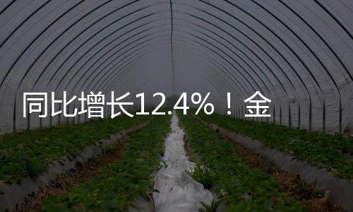 WPS AI月度活跃用户数1968万