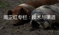 周卫红专栏：技术与渠道	，比克的双重坚持