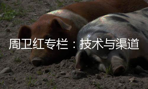 也经历过发展的术渠双重高峰