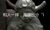 和人一样，海豚也分“i豚”和“e豚”吗？