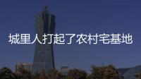 城里人打起了农村宅基地的“歪主意”，根源何在	？
