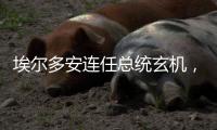 埃尔多安连任总统玄机
，建国百年的“土耳其三变”丨智库视点