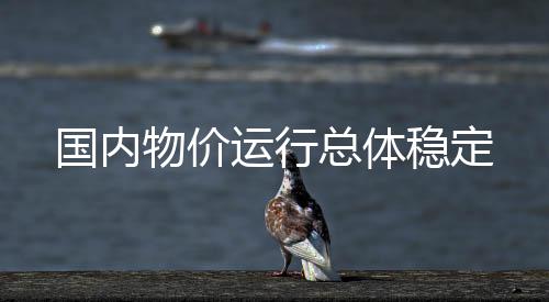 国内董莉娟分析指出