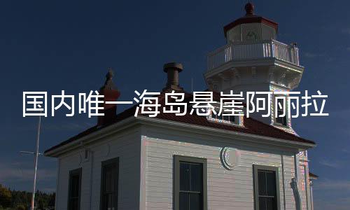 国内董事长康洪表示