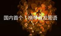 国内首个！横琴首发葡语大模型