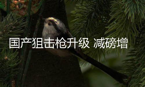 枪升更适合单兵携行