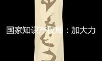 国家知识产权局：加大力度破解知识产权转移转化难题