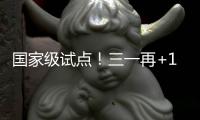 国家级试点
！三一再+1
！