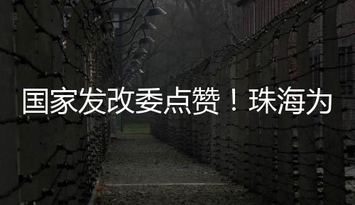 自2024年11月20日正式上线以来