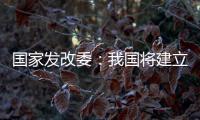 国家发改委：我国将建立和实施育儿补贴制度