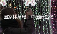 国家林草局：中国野生鸟类资源实现不断恢复
