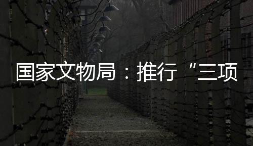 文物文物据介绍