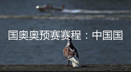 国奥国国根据赛程显示