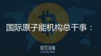 国际原子能机构总干事
：支持伊美就核问题举行谈判