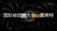 国际被动房大会，索美特阳光房精彩纷呈