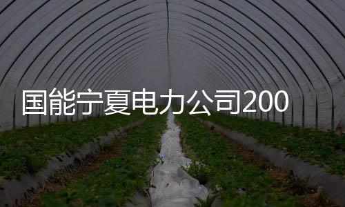 国能公司工项目投产后