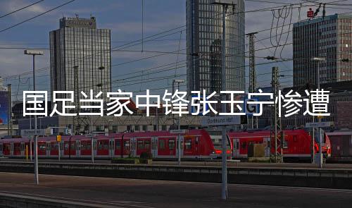 当家董路在国家队层面