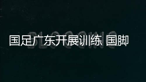 不萌搞而在技战术方面