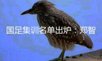 国足集训名单出炉：郑智落选 两U23新星入选