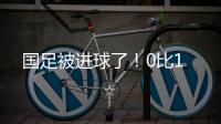 国足被进球了
！0比1
