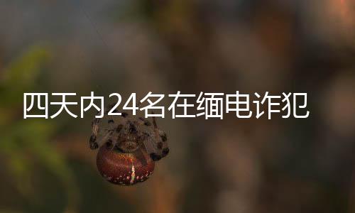 更主动的名缅攻势�
、
