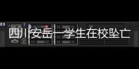 四川安岳一学生在校坠亡�，官方通报