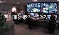 快排公司十年历程，霸屏兔 seo 的崛起与坚守