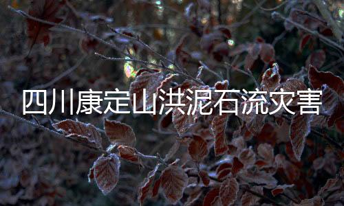 4辆车共11人坠入桥下