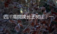 四川高院院长王树江：一个案例胜过一打文件