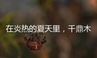 在炎热的夏天里，千鼎木门为您送上一份清凉!
