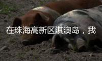 在珠海高新区淇澳岛，我为全运种棵树