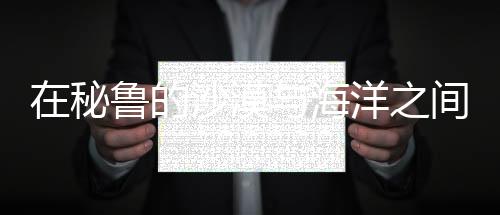 我把背包放进房间后