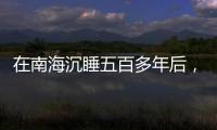 快排公司十年历程，霸屏兔 seo 的崛起与坚守