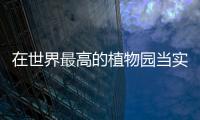 在世界最高的植物园当实习园丁