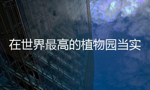 如中甸刺玫、世界相反