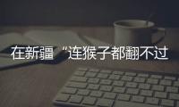 在新疆“连猴子都翻不过的山”，查缉
、抢险和反恐维稳