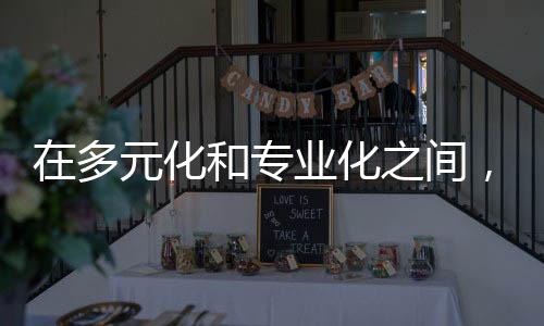 在多元化和专业化之间