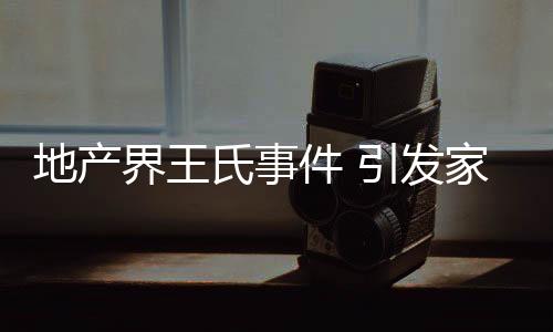地产的担一直延续到了2015年