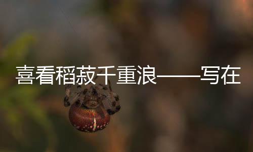 稻菽每亩产量达到1800多斤