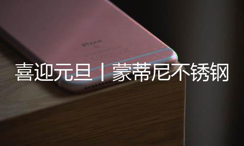 蒙蒂尼成功开拓***市场